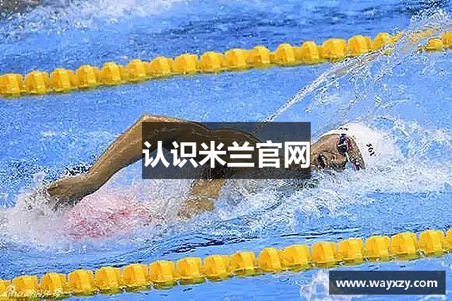 认识米兰官网
